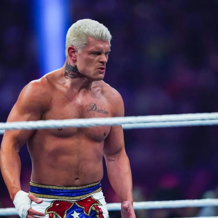Cody Rhodes Net Worth 2026: How Much Does Cody Rhodes Make Per Year?