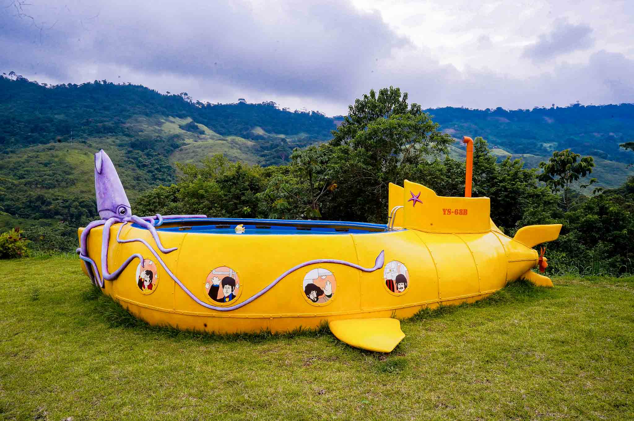 Yellow Submarine Swimming Pool Fantasyscaping