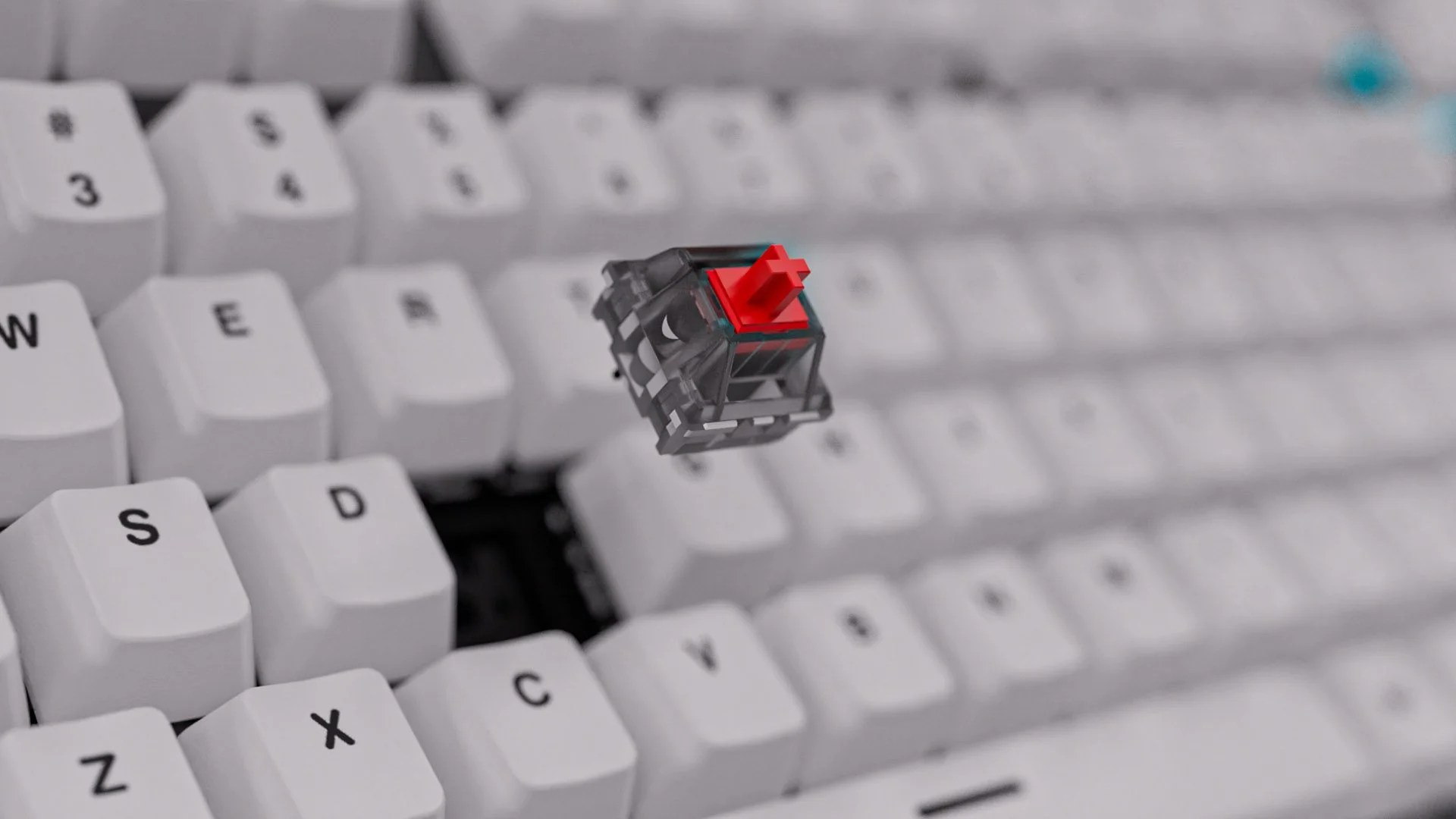 Why Hot-Swappable is a Must-Have Feature for Mechanical Keyboards