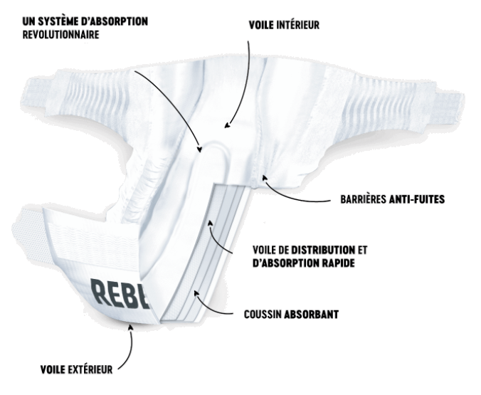 What is the difference between the diapers and diaper pants? Little