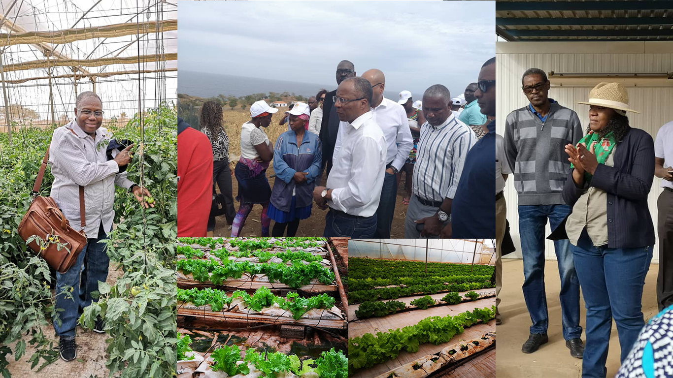 ECOWAS Commissioner for Agriculture, Rural Economy and Environment