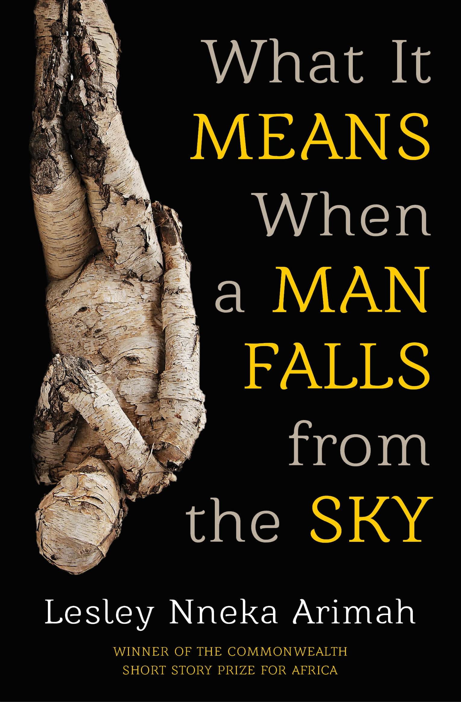What It Means When a Man Falls from the Sky • Farafina Books