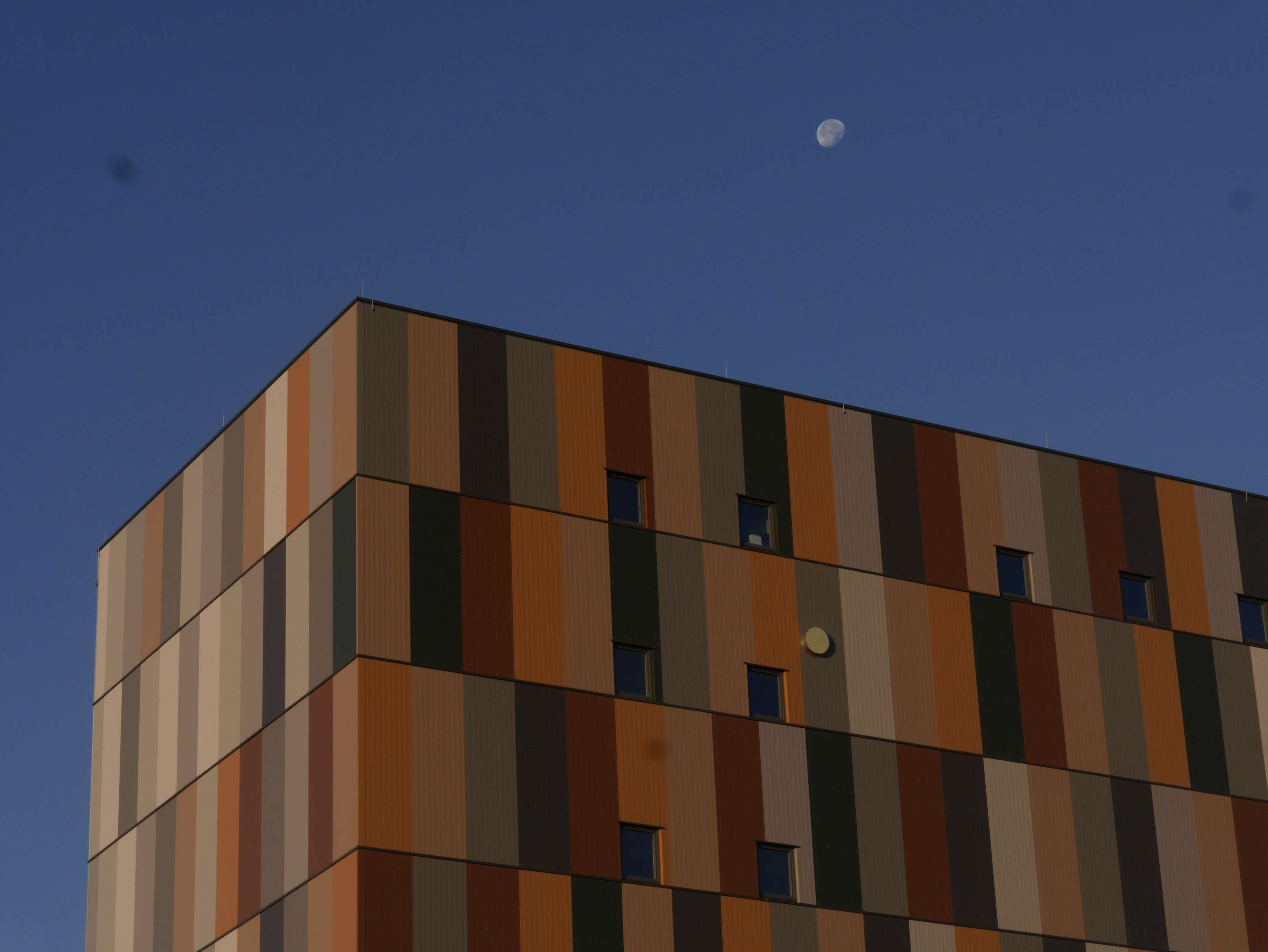 Silogebäude, Industriepark Region Trier, Föhren, Auftraggeber VetConcept GmbH farbplanung