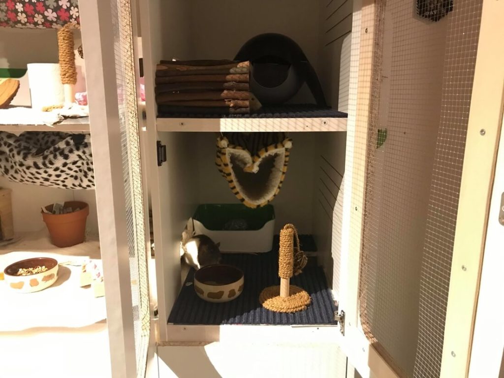 Rattenkäfig selber bauen ᐅ DIY Käfig Beispiele mit Bildern