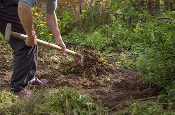 Many Pet Burial Options Offered | Life & Arts | Wvgazettemail.com Is It Legal To Bury Pets In The Backyard? State By State Laws – Farewell Pet