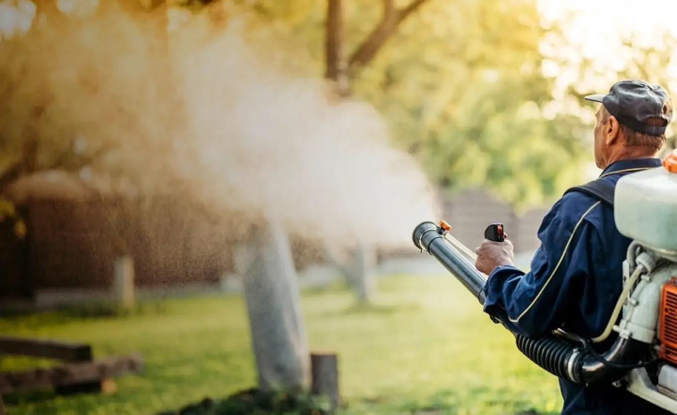 Flea And Tick Yard Treatment Charlestown, IN Flea Tick Prevention For