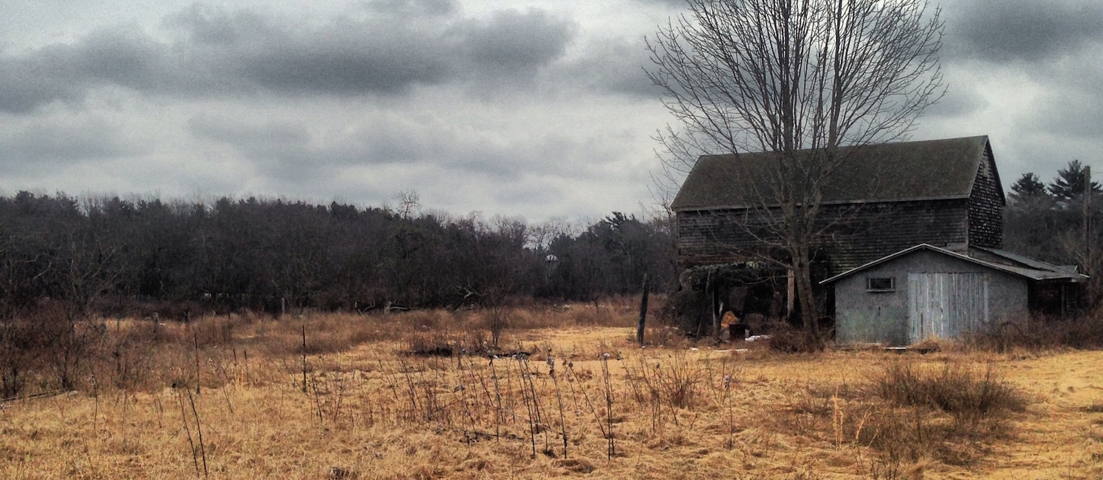 Clearing and Grubbing Farland Corp