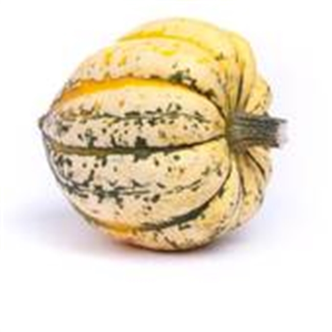 Sweet Dumpling Squash. Farm Direct