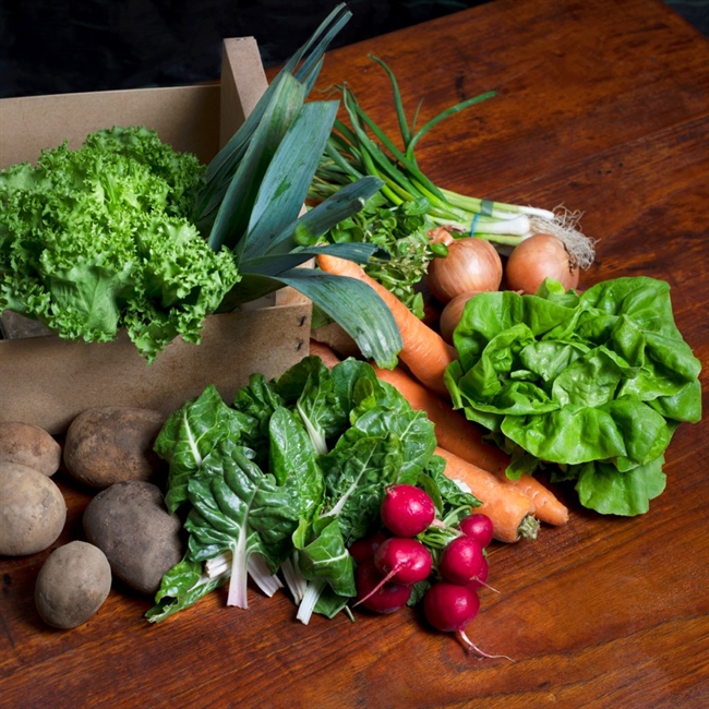Organic Seasonal Veg Box, Large. Farm Direct