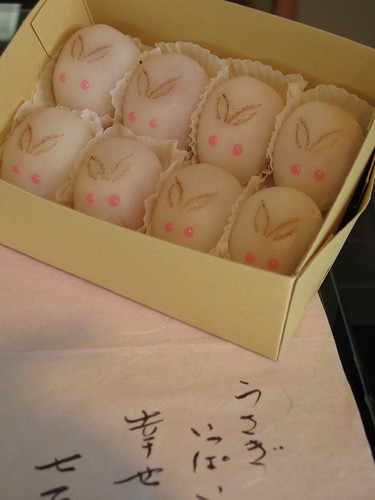sugar rabbits