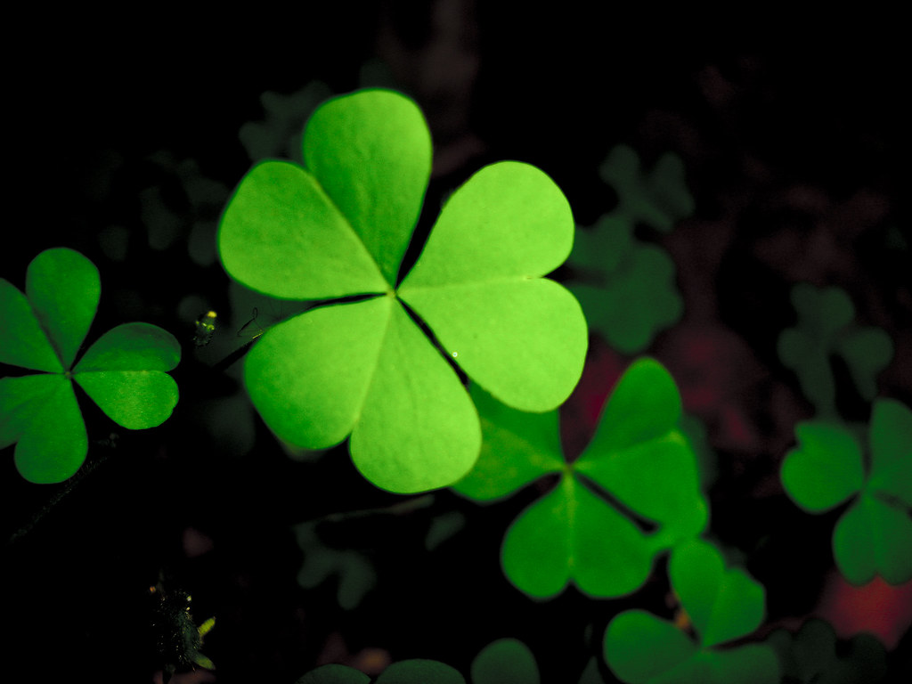 CoolClix Clover History Behind the Leaf