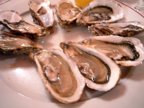 oysters!