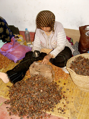 Algerie L Huile D Argane Dur Dur Algerie Pyrenees De