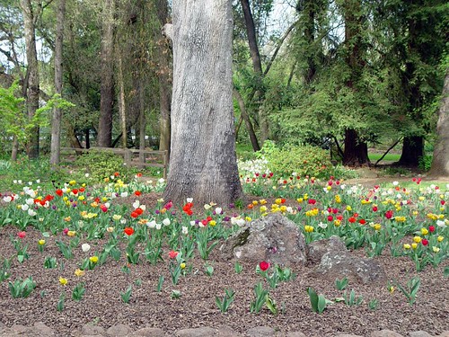 Jensen Botanical Gardens