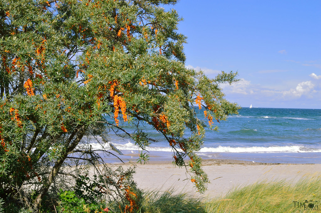 Desktop Hintergrund Ostsee