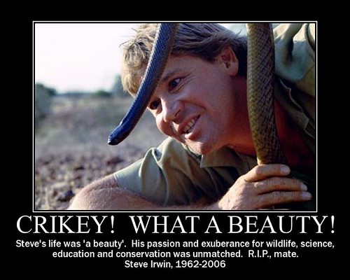Steve Irwin's life was truly 'a beauty'. a photo on