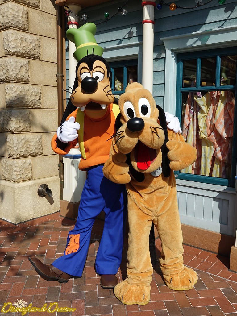 Disney Characters Goofy And Pluto
