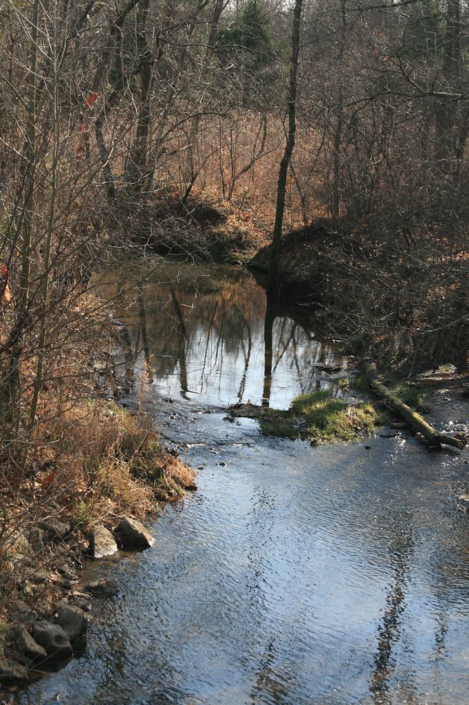 Elevation of Manner Lane, Manner Ln, Lebanon, TN, USA Topographic Map