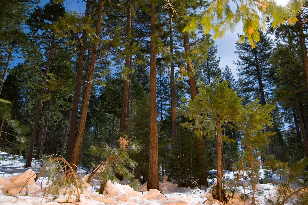 MiWuk Village Map Tuolumne County, California Mapcarta