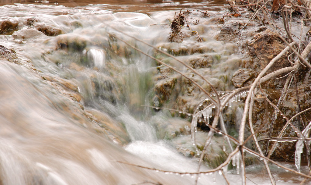 Timberline Mo at Marion Ross blog