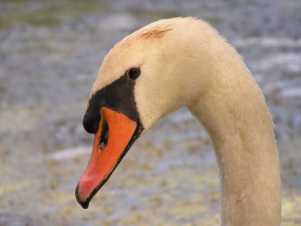 Elevation of 7 Traci Ln, Hopewell Junction, NY, USA Topographic Map