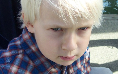10 Reasons Why You Should NOT Homeschool Your Children