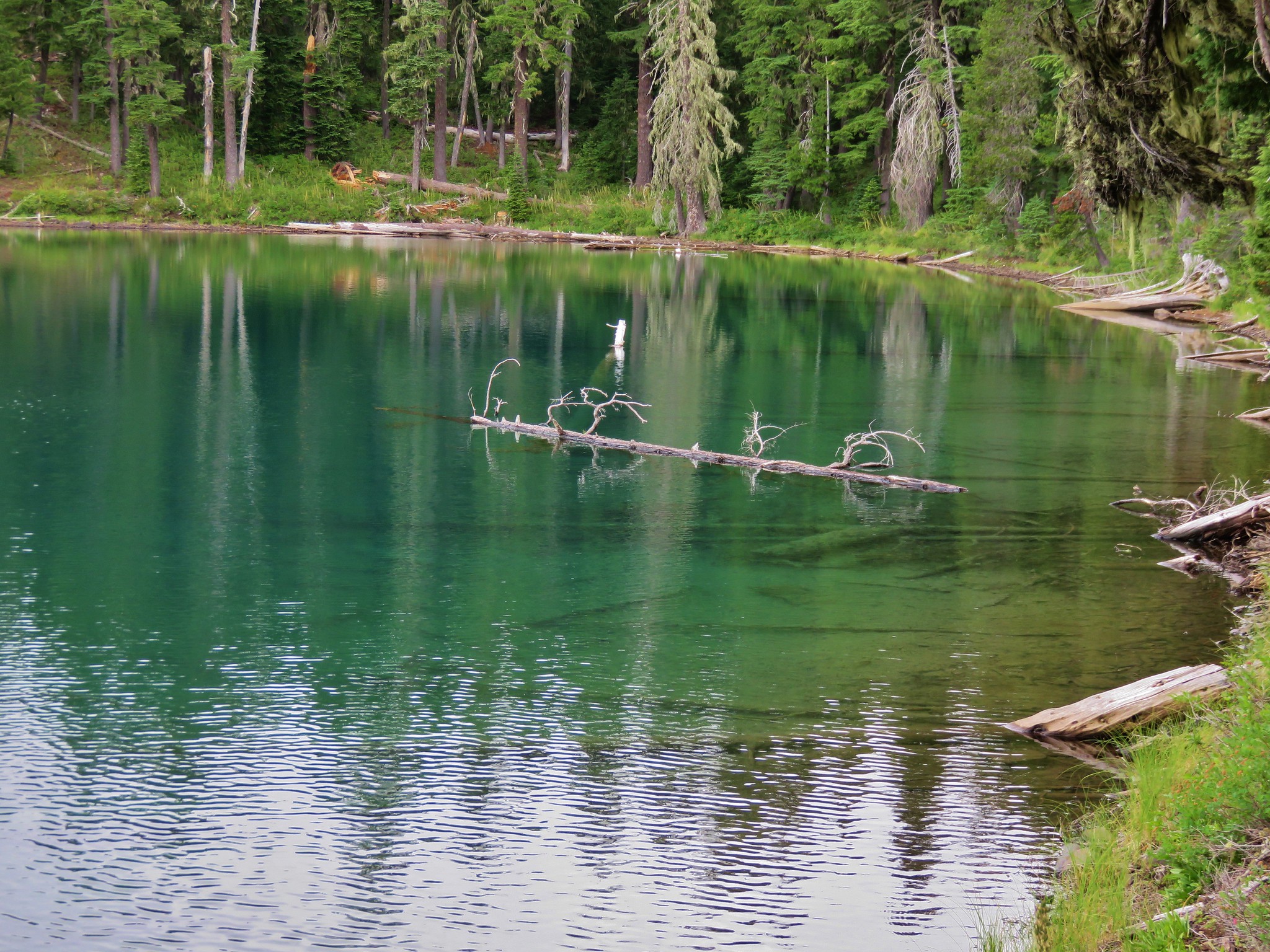 Three Sisters Wilderness Exploration 7/237/26/15 Oregon Hikers