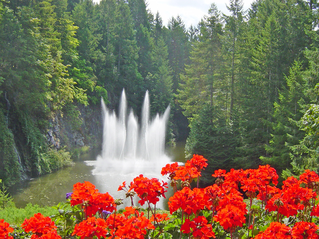 Ross Fountain and geraniums, Butchart Gardens, B. C. (Brit… Flickr Photo Sharing!