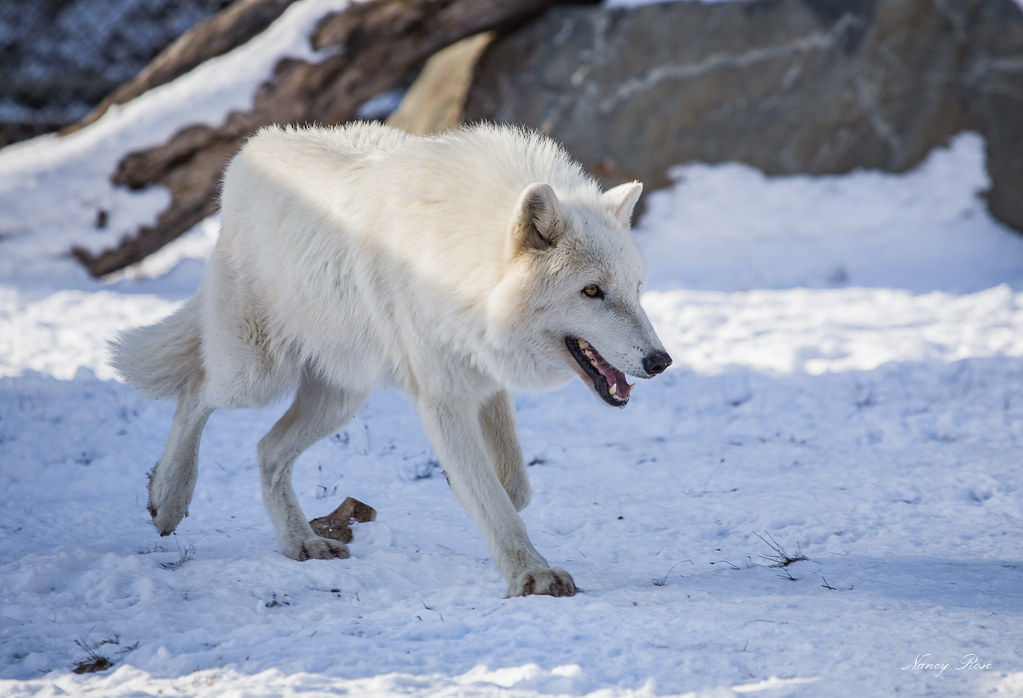 Admiral Rock, NS B0N, Canada Sunrise Sunset Times