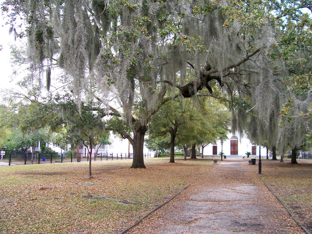 Spanish Moss Overhang A live oak tree with Spanish Moss ha… Flickr