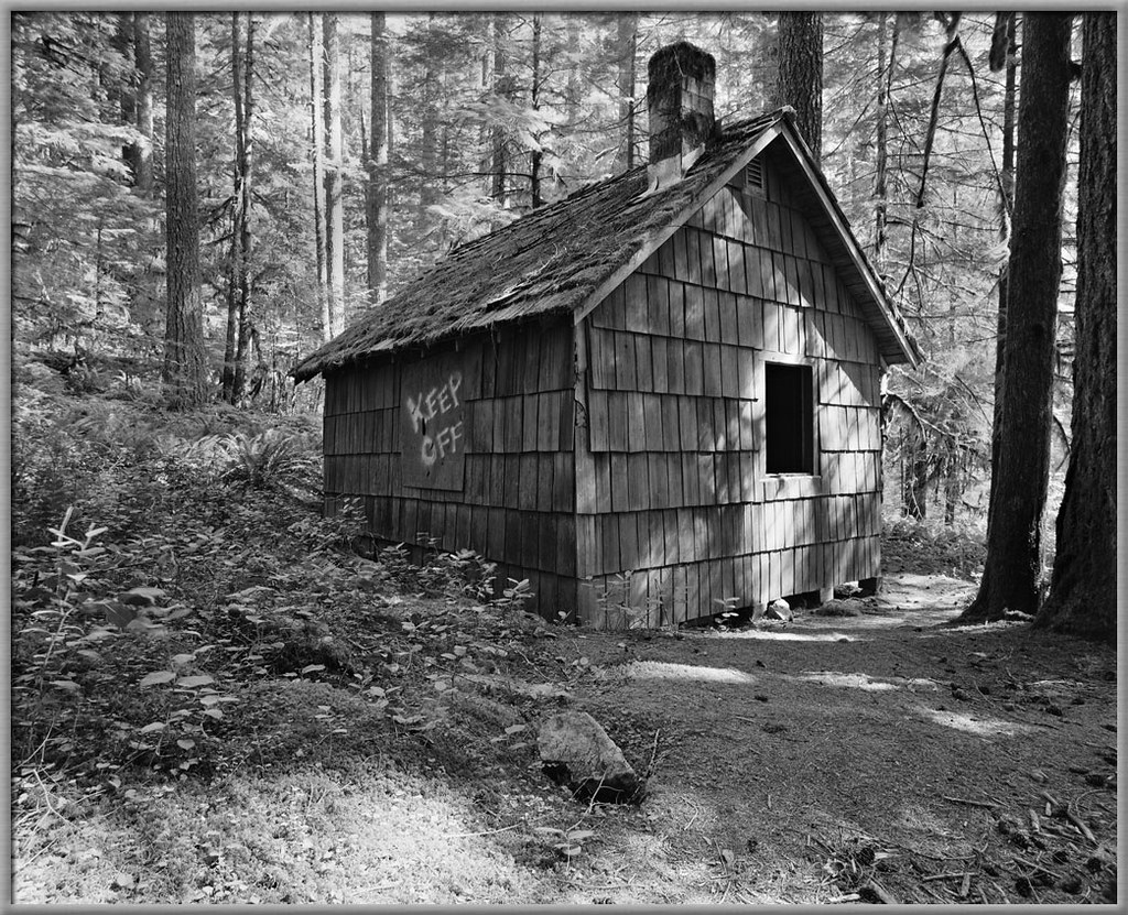 Cabins in the woods FM Forums