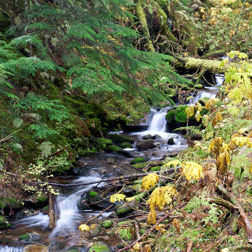 Elevation of Dome Creek, BC V0J, Canada Topographic Map Altitude Map