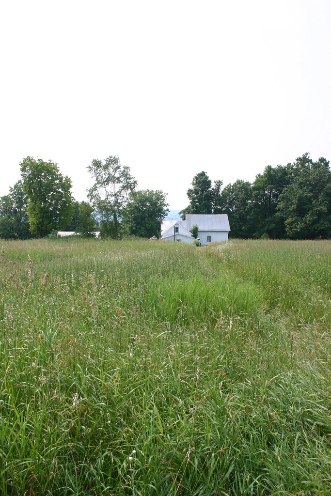 Elevation of Wilfred King Rd, Ellenburg Depot, NY, USA Topographic