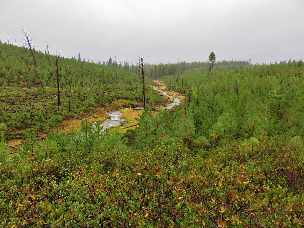 Paulina Creek Ogden Group Camp to Tenmile SnoPark wanderingyuncks