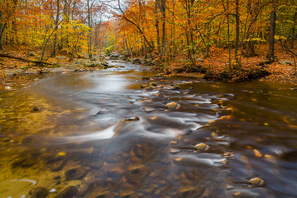 Elevation of 51 Wilson Rd, Easton, CT, USA Topographic Map Altitude Map