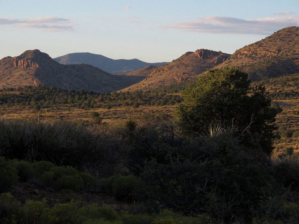 Elevation of White Signal, NM, USA Topographic Map Altitude Map