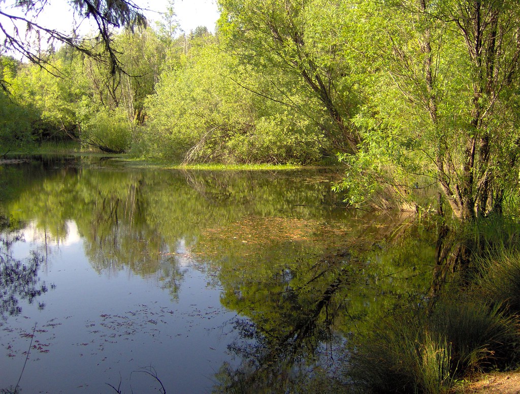Brooktrails Map Mendocino County, California Mapcarta