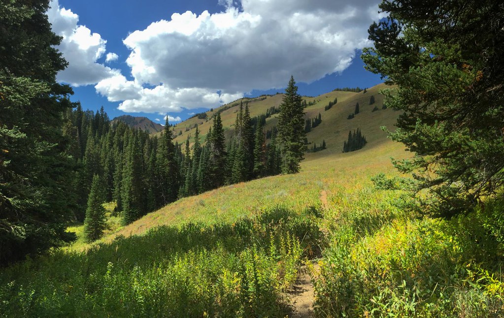 Middle Piney Lake Campground Map Wyoming Mapcarta