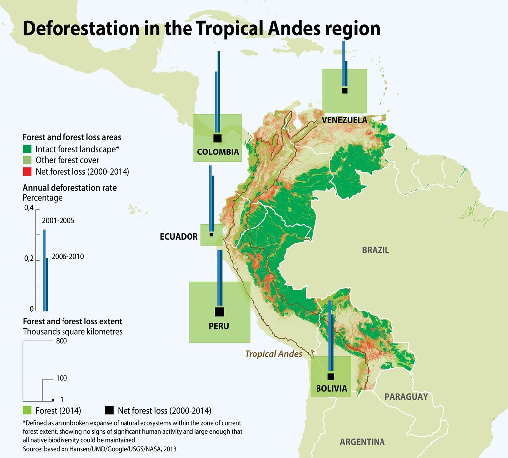 Deforestation In The Tropical Andes Region | Grid-Arendal