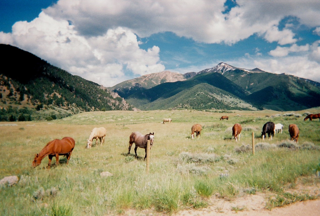 Elevation of Cameron, MT, USA Topographic Map Altitude Map