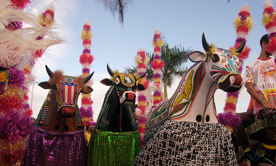 Bumba Meu Boi Poderá Se Tornar Patrimônio Cultural