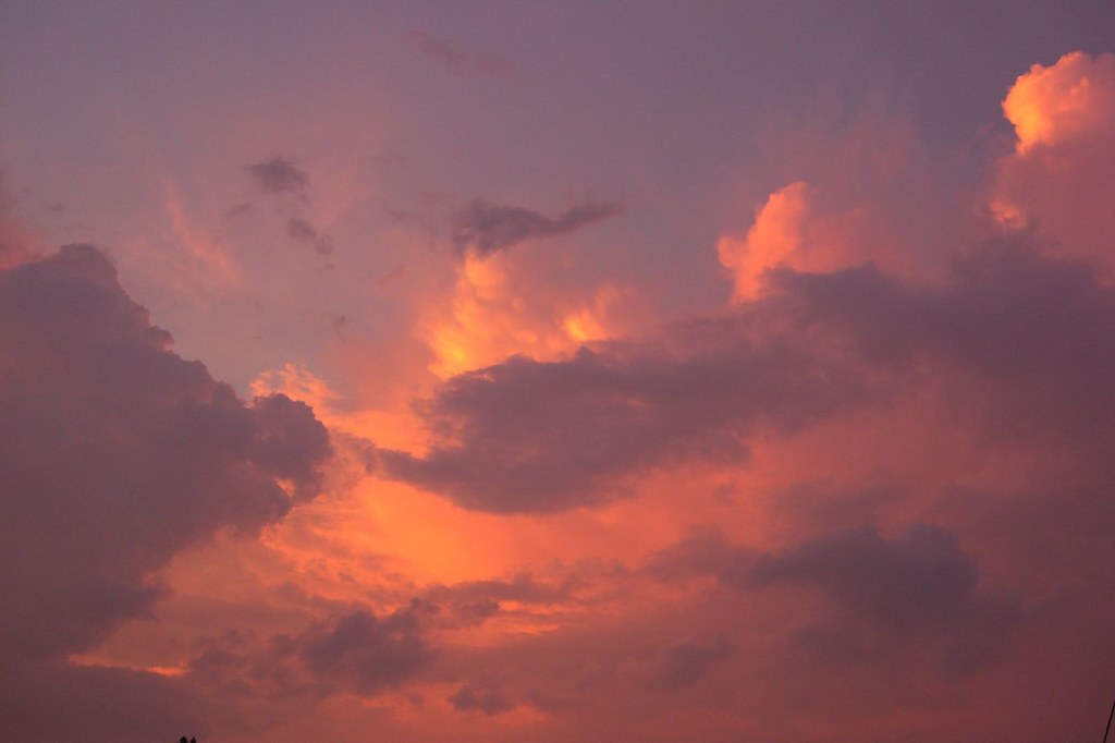 Elevation of Liberty, SC, USA Topographic Map Altitude Map