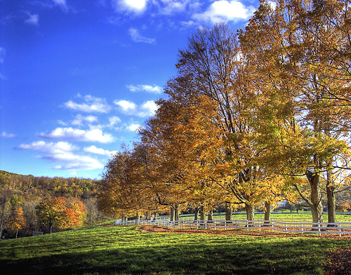 Elevation of Litchfield County, CT, USA - Topographic Map - Altitude Map