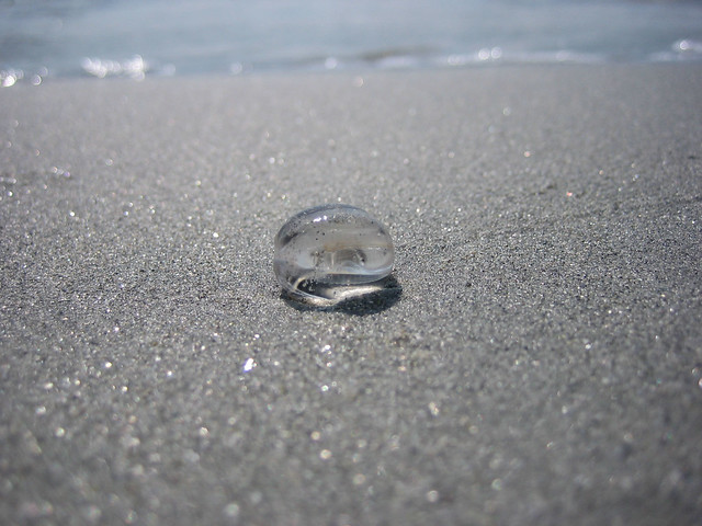 Jellyfish egg? Flickr Photo Sharing!
