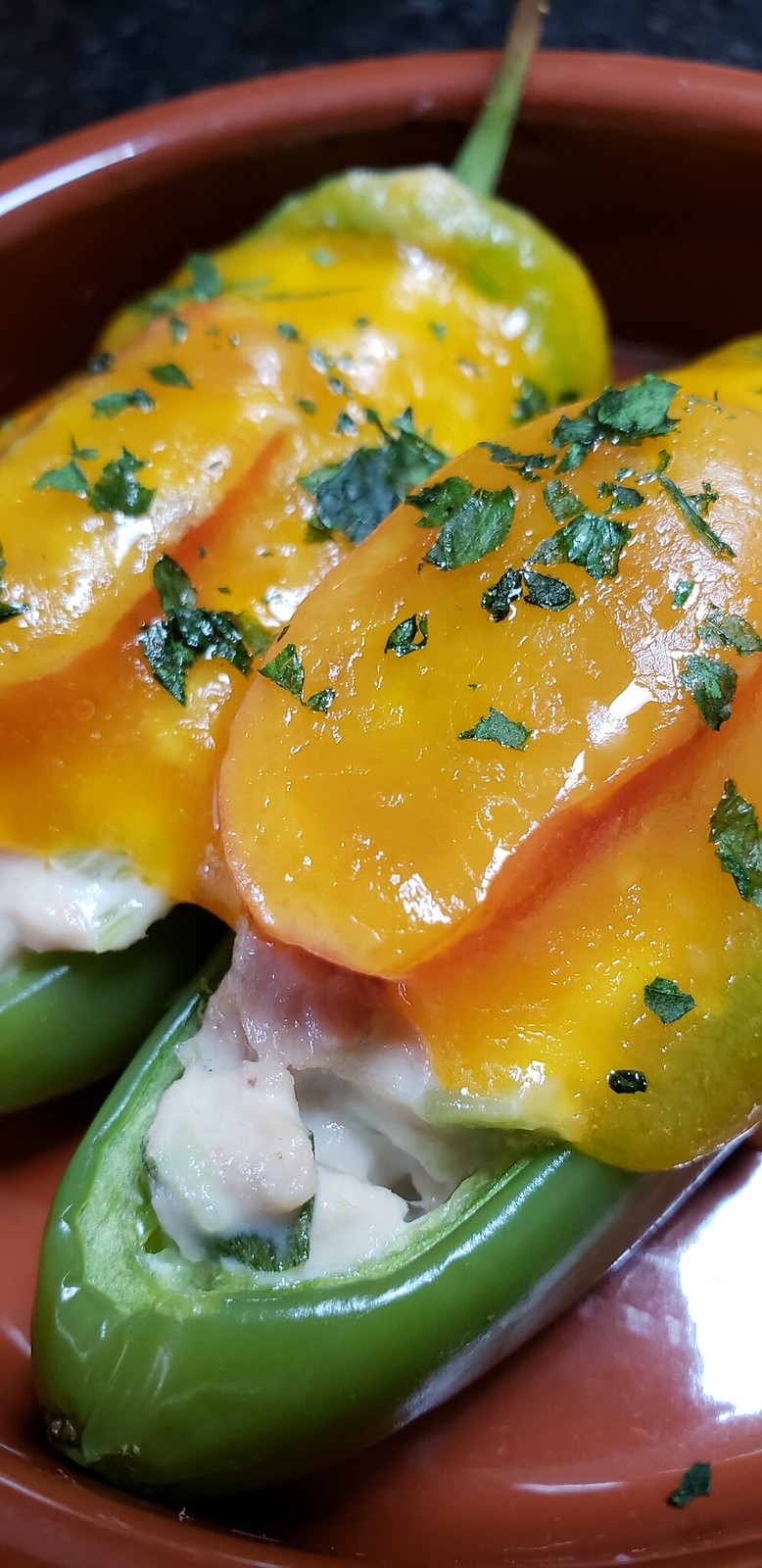 Spicy Jalapeño Cheddar Tuna Melt Ambitious Kitchen