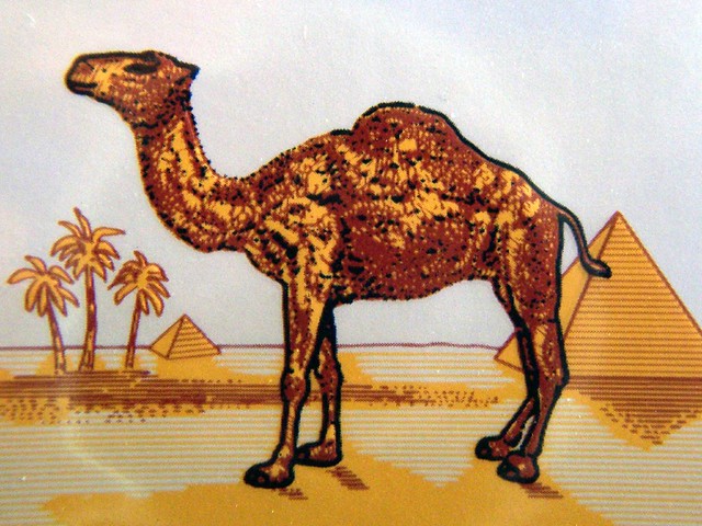 The Original Joe Camel Flickr Photo Sharing!