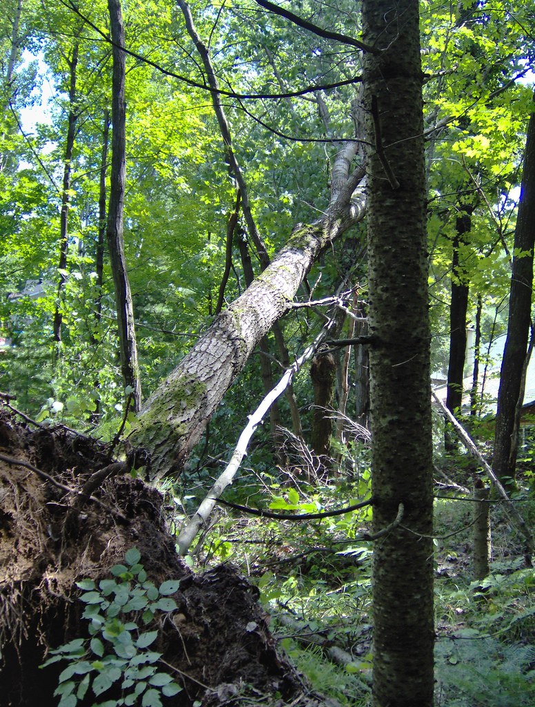 Bancroft Map Ottawa Valley, Ontario Mapcarta