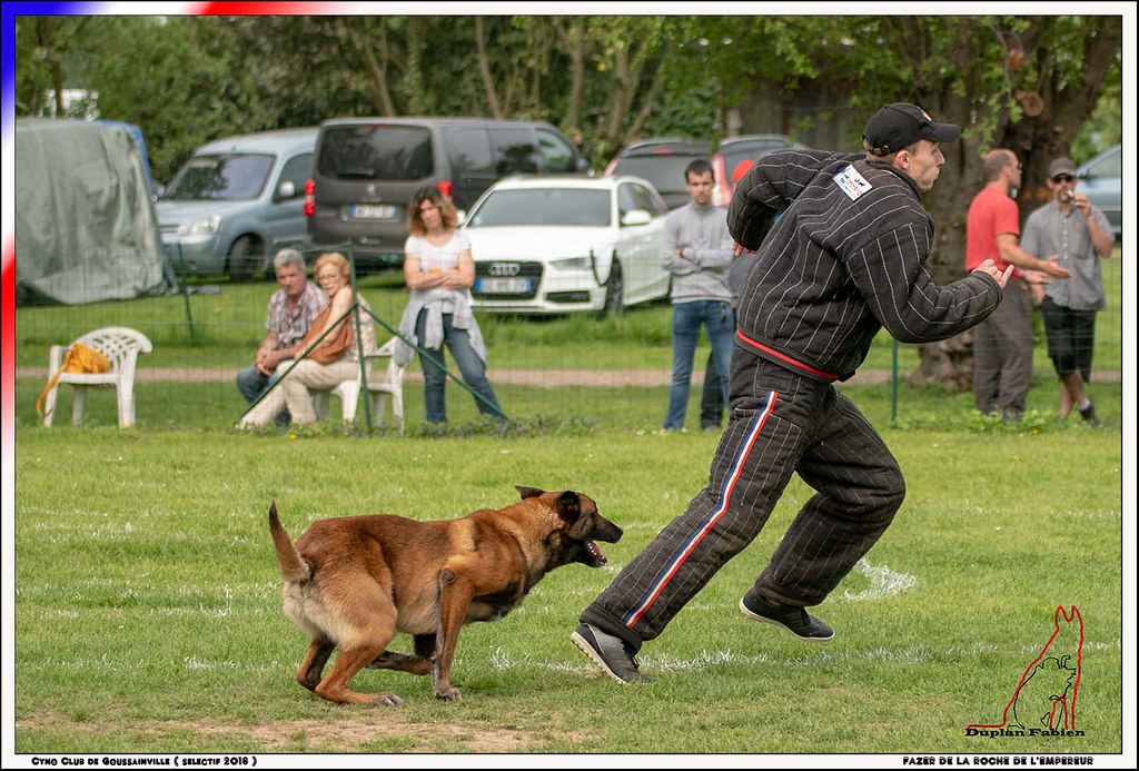 PHOTO EZANVILLE Photos Images Ézanville 95460 ou 95440