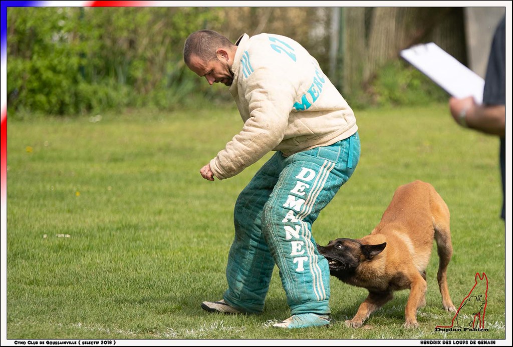 PHOTO EZANVILLE Photos Images Ézanville 95460 ou 95440