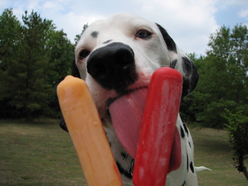 Homemade Puppy Popsicles BarePaws
